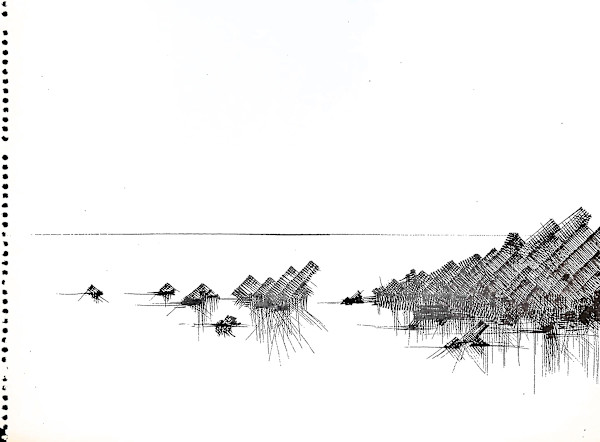 Sans titre (DPF113) by Vincent Batbedat