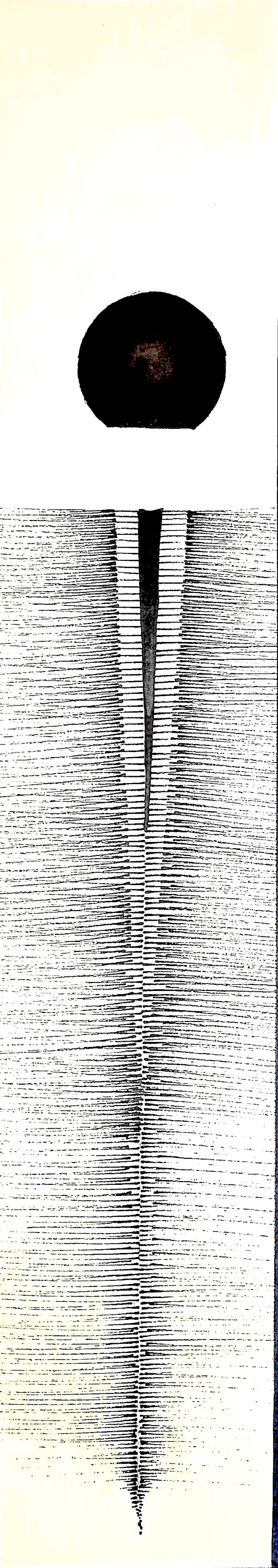 Sans titre (DPF144) by Vincent Batbedat