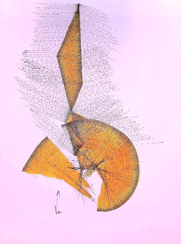 Sans titre (DPF160) by Vincent Batbedat