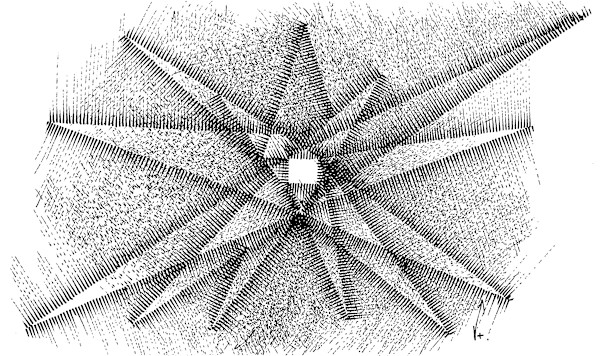 Sans titre (DPF165) by Vincent Batbedat