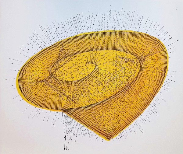 Sans titre (DPF182) by Vincent Batbedat