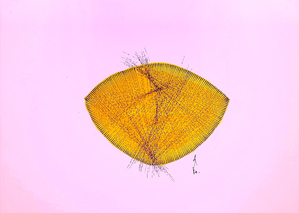 Sans titre (DPF195) by Vincent Batbedat