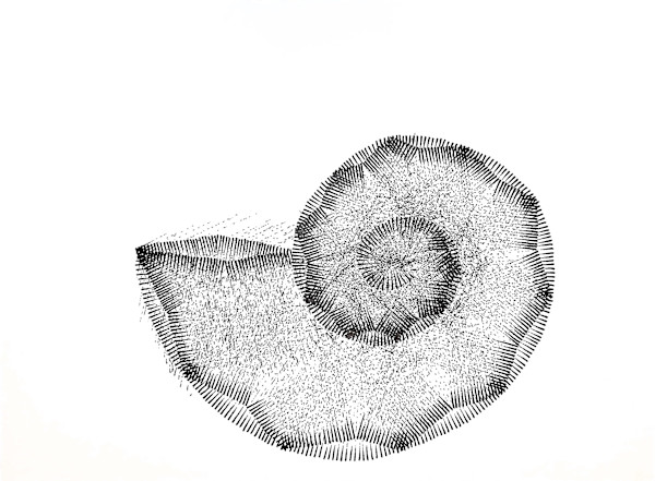 Sans titre (DPF234) by Vincent Batbedat