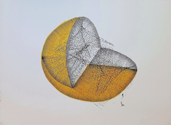Sans titre (DPF235) by Vincent Batbedat