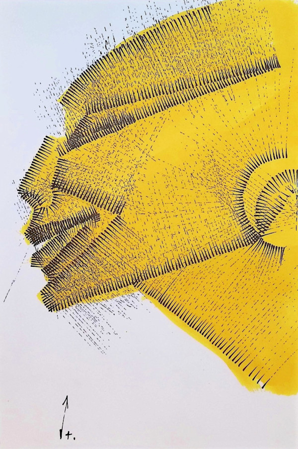 Sans titre (DPF27) by Vincent Batbedat