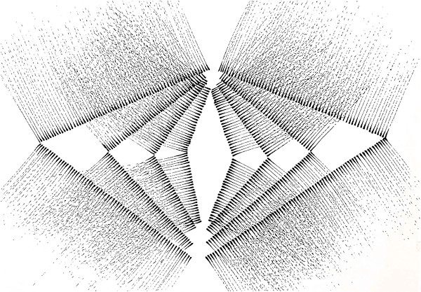 Sans titre (DPF2) by Vincent Batbedat