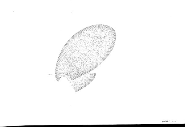 Sans titre (DPF 471) by Vincent Batbedat