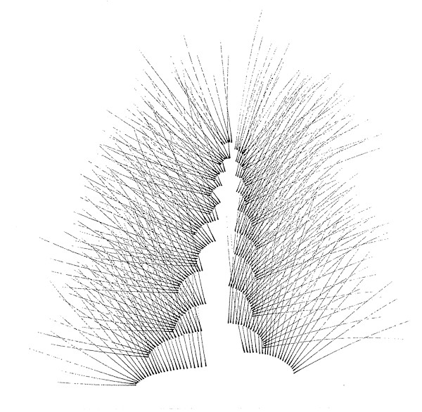 Sans titre (DPF 472) by Vincent Batbedat