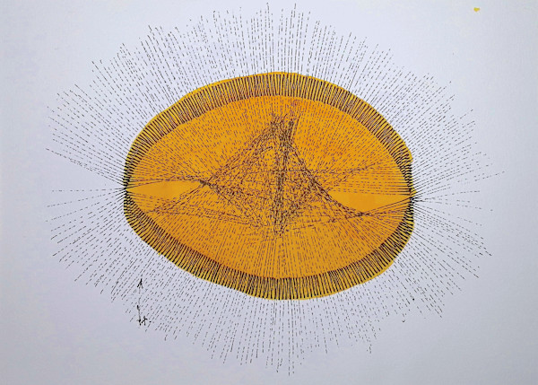 Sans titre (DPF 507) by Vincent Batbedat