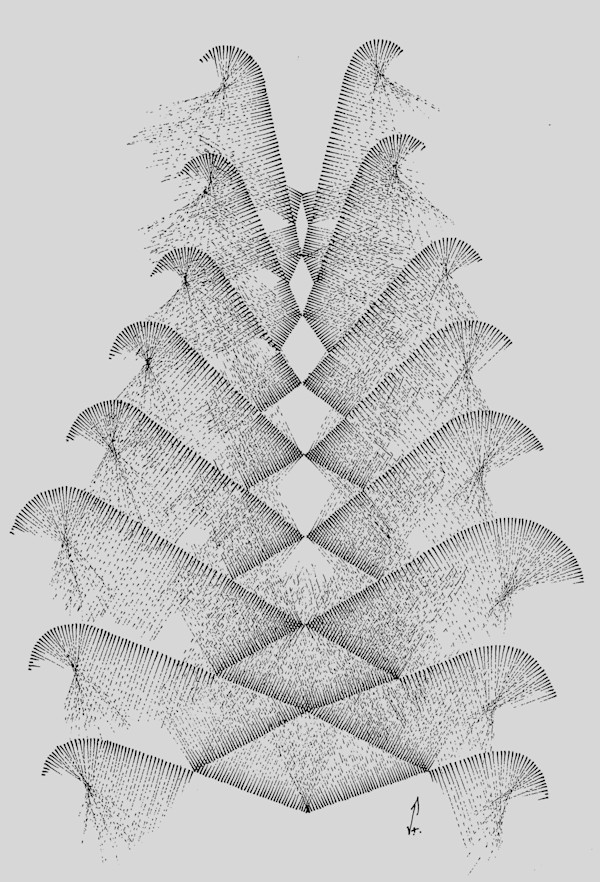 Sans titre (DPF 510) by Vincent Batbedat