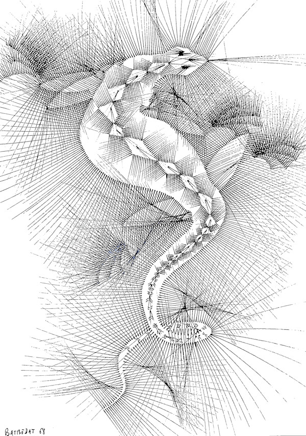 Sans titre (DPF 560) by Vincent Batbedat