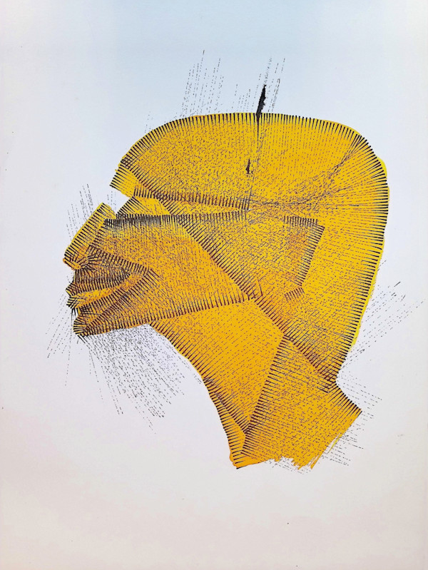 Sans titre (DPF56) by Vincent Batbedat