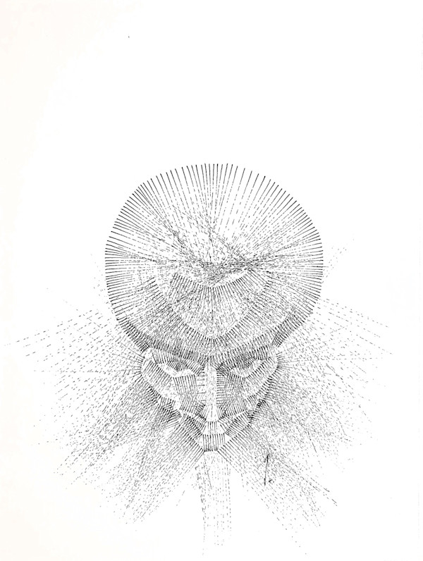 Sans titre (DPF67) by Vincent Batbedat