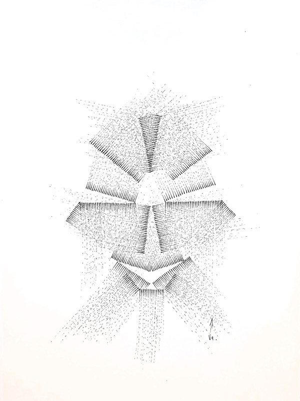 Sans titre (DPF72) by Vincent Batbedat