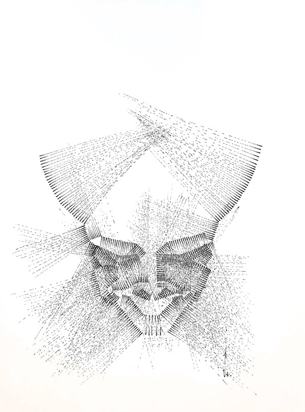 Sans titre (DPF75) by Vincent Batbedat