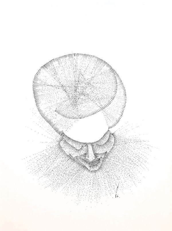 Sans titre (DPF79) by Vincent Batbedat