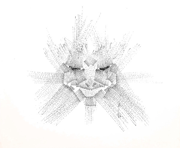 Sans titre (DPF81) by Vincent Batbedat