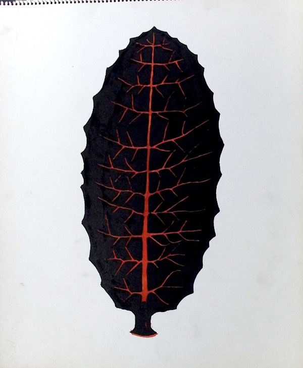 Sans titre (DPF 866) by Vincent Batbedat