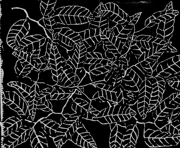 Sans titre (DPF 868) by Vincent Batbedat