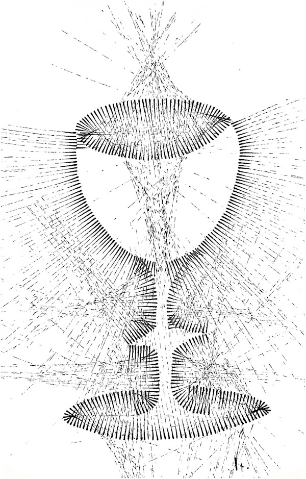 Sans titre (DPF93) by Vincent Batbedat