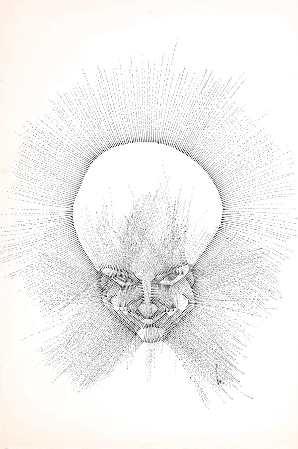 Sans titre (DPF97) by Vincent Batbedat