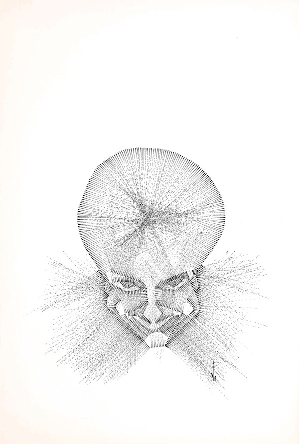 Sans titre (DPF98) by Vincent Batbedat