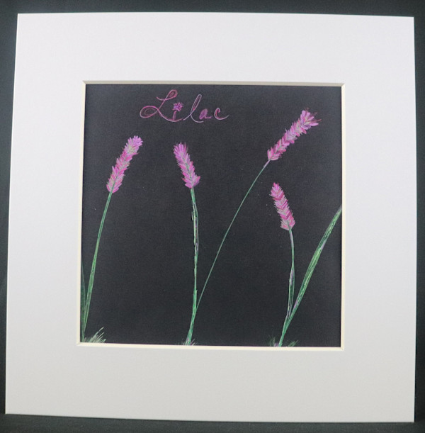 Lilacs by Hiliary A. Blalock