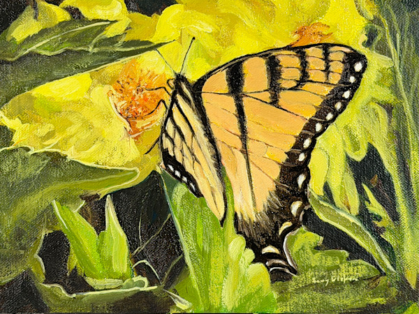 Butterfly Delight by Barry Olofsson, Image 1.