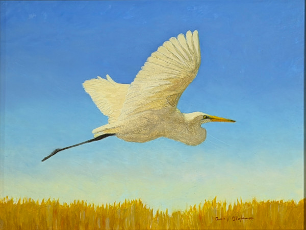 Egret by Barry Olofsson, Image 1.
