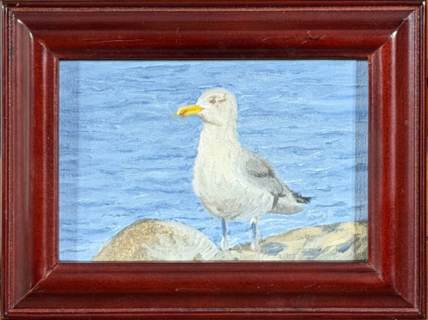 Seagull on Rocks by Barry Olofsson, Image 1.