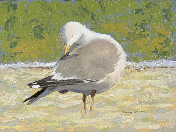 Preening Gull by Barry Olofsson, Image 1.