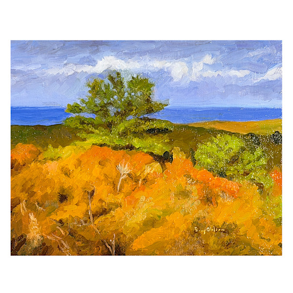 Break Toward Provincetown by Barry Olofsson, Image 1.