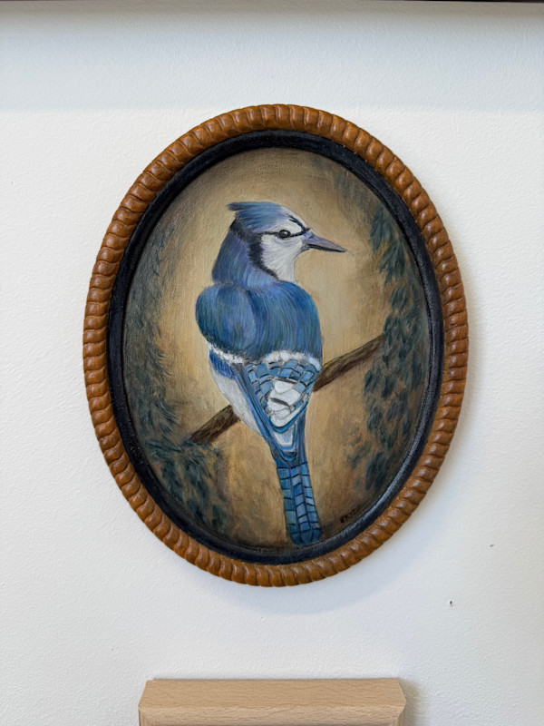 Vintage Blue Jay by Erica Kyle