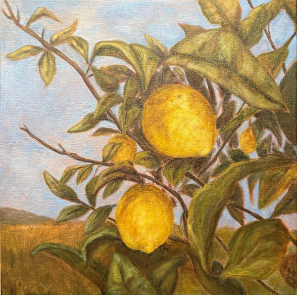 Lemons in Lucca by Erica Kyle, Image 1.