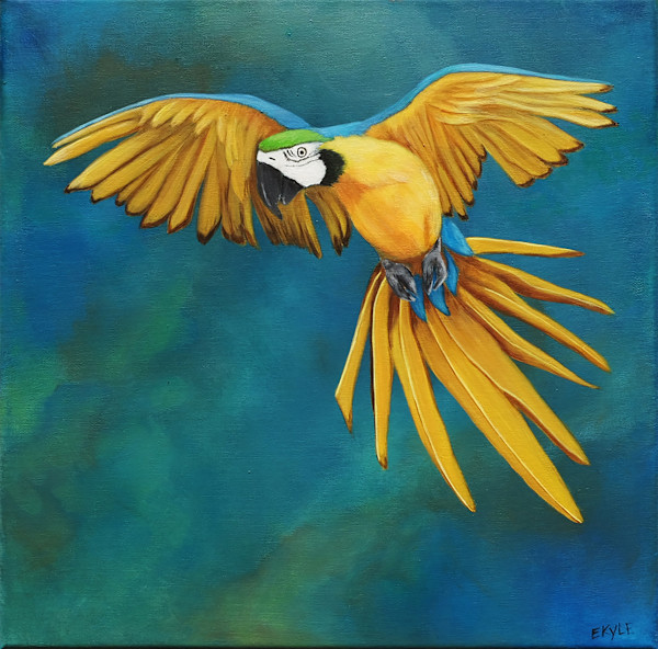 The Secret Garden by Erica Kyle Creations