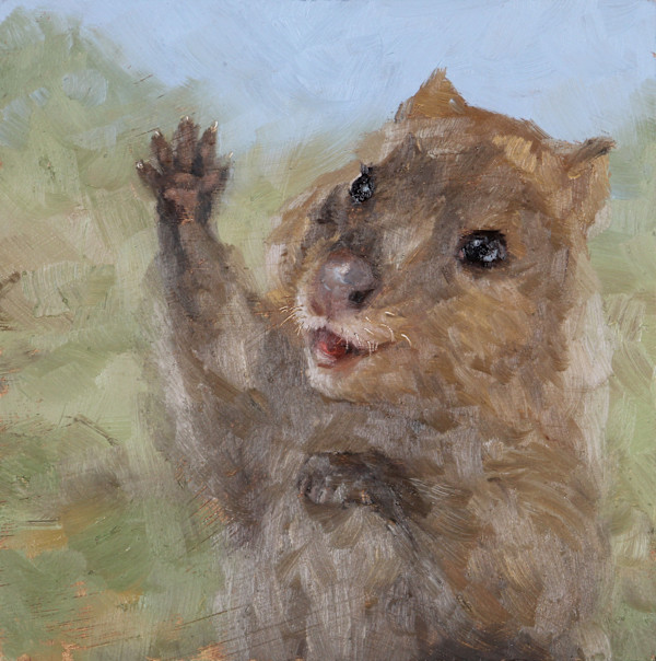 Oh Hi by Michelle Dahl, Image 19.