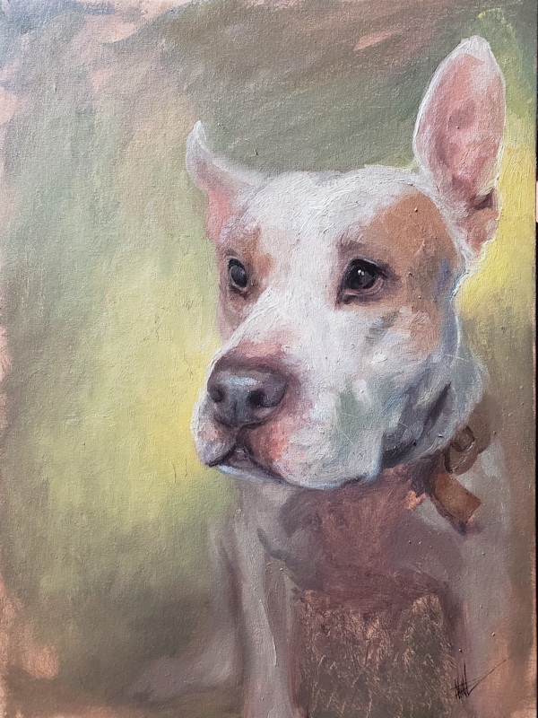 Connie Rabbit by Michelle Dahl