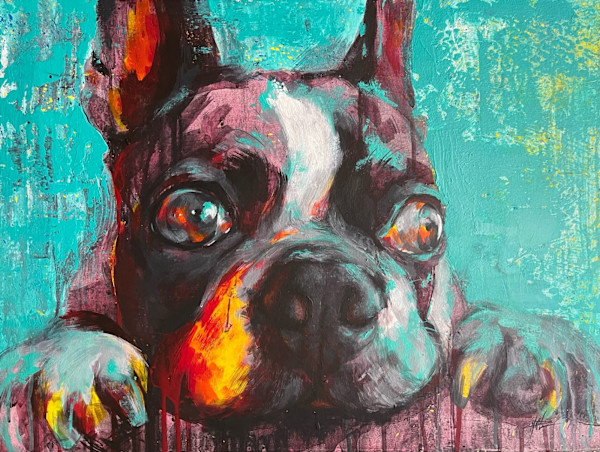 Omalley On Watch by Michelle Dahl