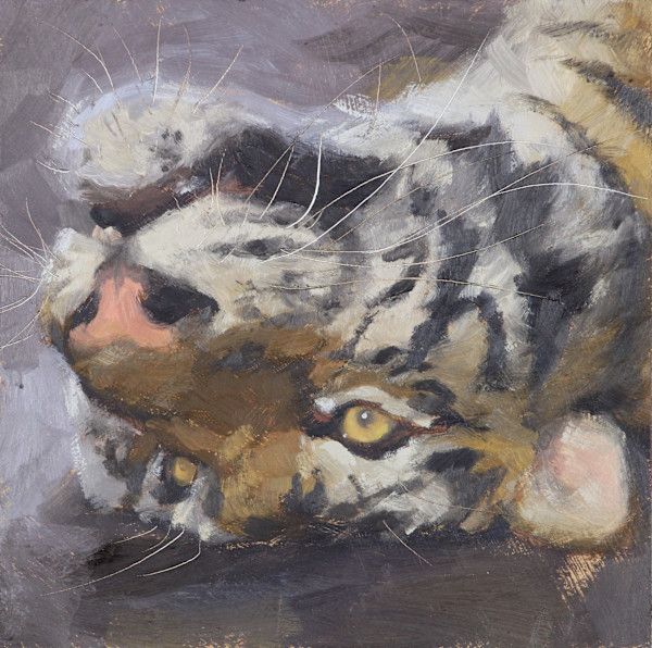 Rolly Polly by Michelle Dahl, Image 9.