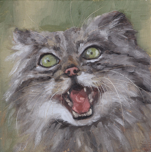 Yikes by Michelle Dahl