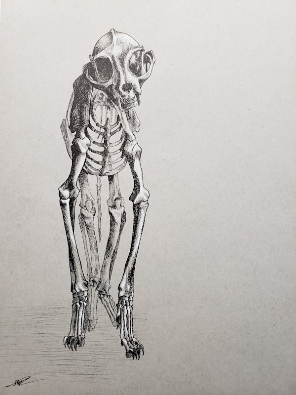 Day 21:Skeleton by Michelle Dahl