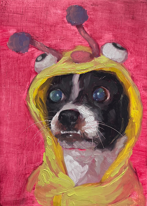 Googly Eyes by Michelle Dahl