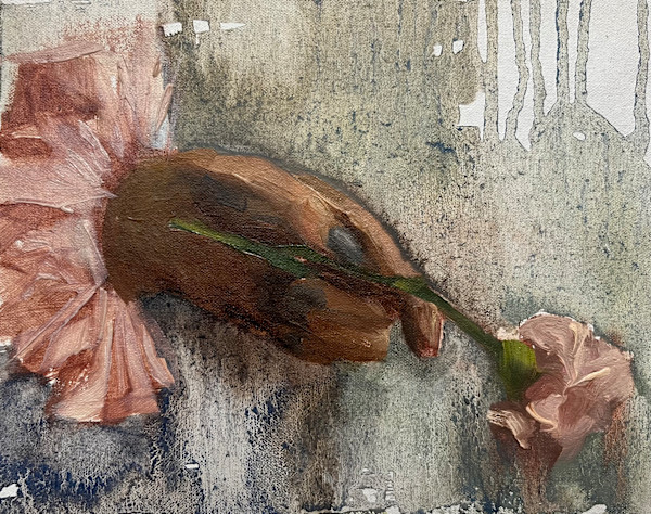 Carnation by Michelle Dahl