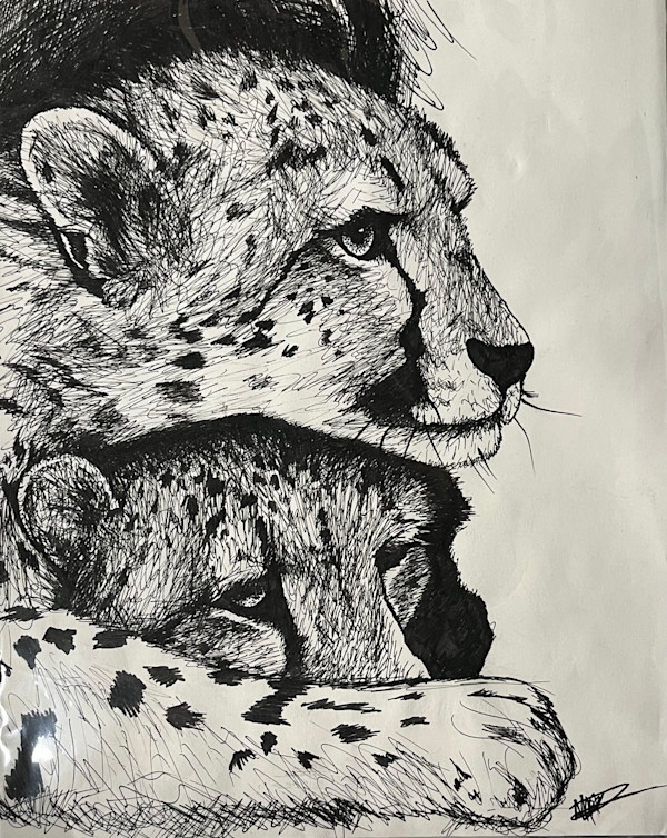 Cheetahs by Michelle Dahl