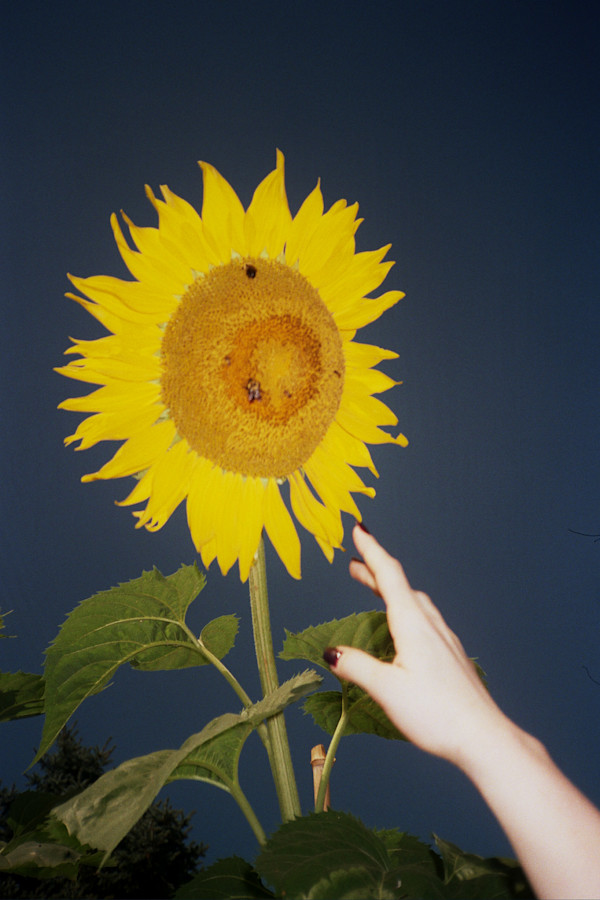 Creation of by Grey Vanderwoude