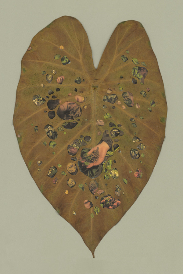 Burial by Grey Vanderwoude