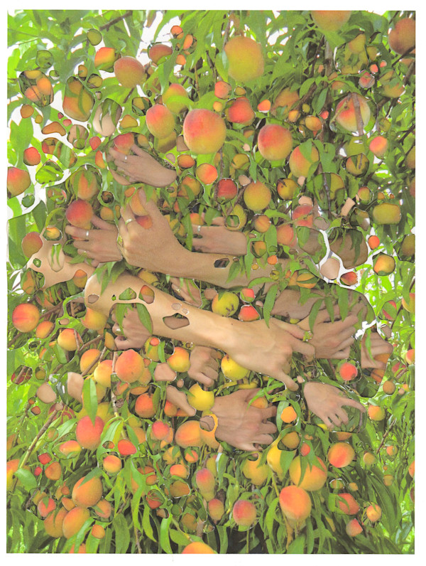 Held by Grey Vanderwoude