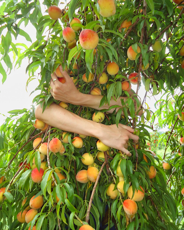 Held (photo) by Grey Vanderwoude