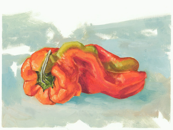 Pepper Study 2 by Grey Vanderwoude