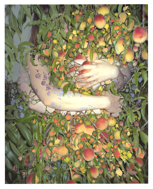 Holding by Grey Vanderwoude